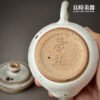 【蔡榮祐】釉變陶藝茶壺170ml
