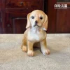 拉不拉多擺飾-療癒系桌面公仔裝飾-良時美器