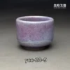 楊晴晴志野杯